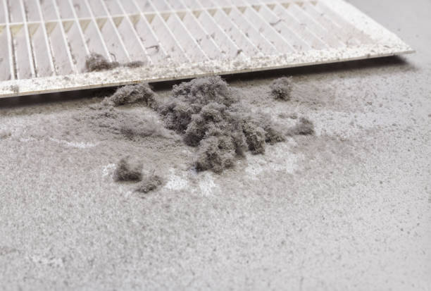 Best HVAC Duct Inspection Services  in Susan Moore, AL