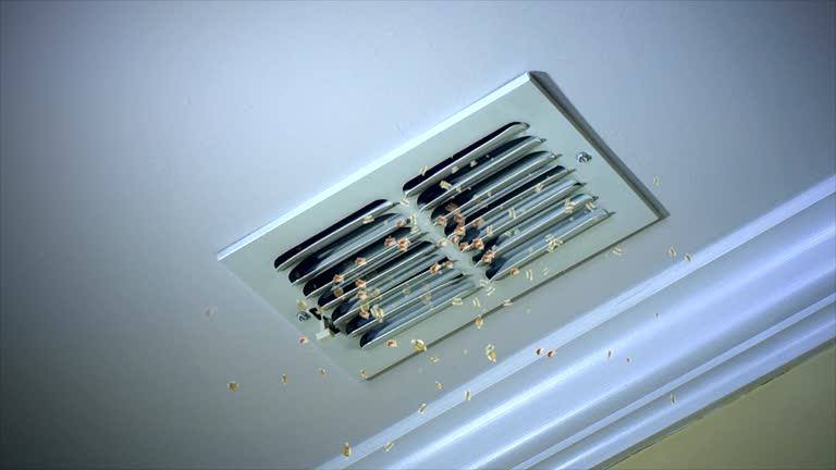 Best Air Duct Mold Removal  in Susan Moore, AL