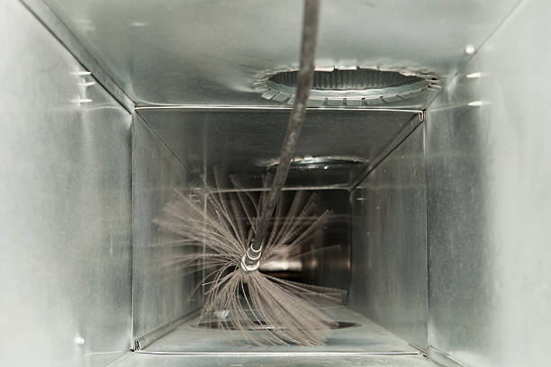 Air Duct Mold Removal in Susan Moore, AL